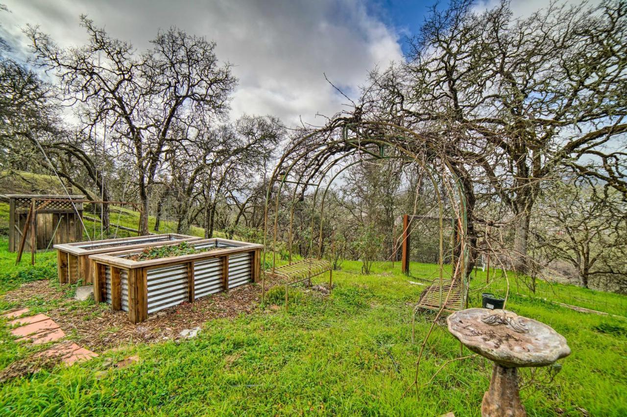 Hilltop Loft Ukiah Vacation Rental! Exterior photo